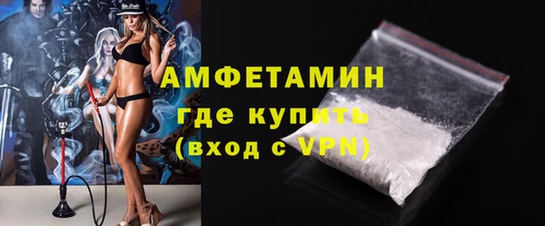 спайс Богданович