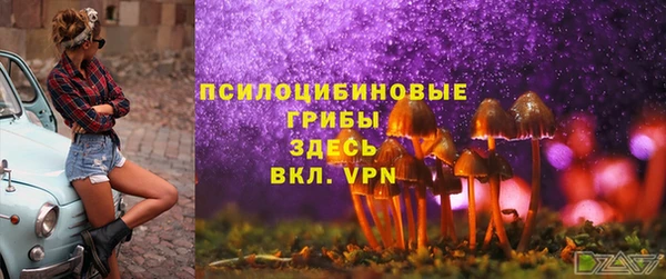 spice Беломорск
